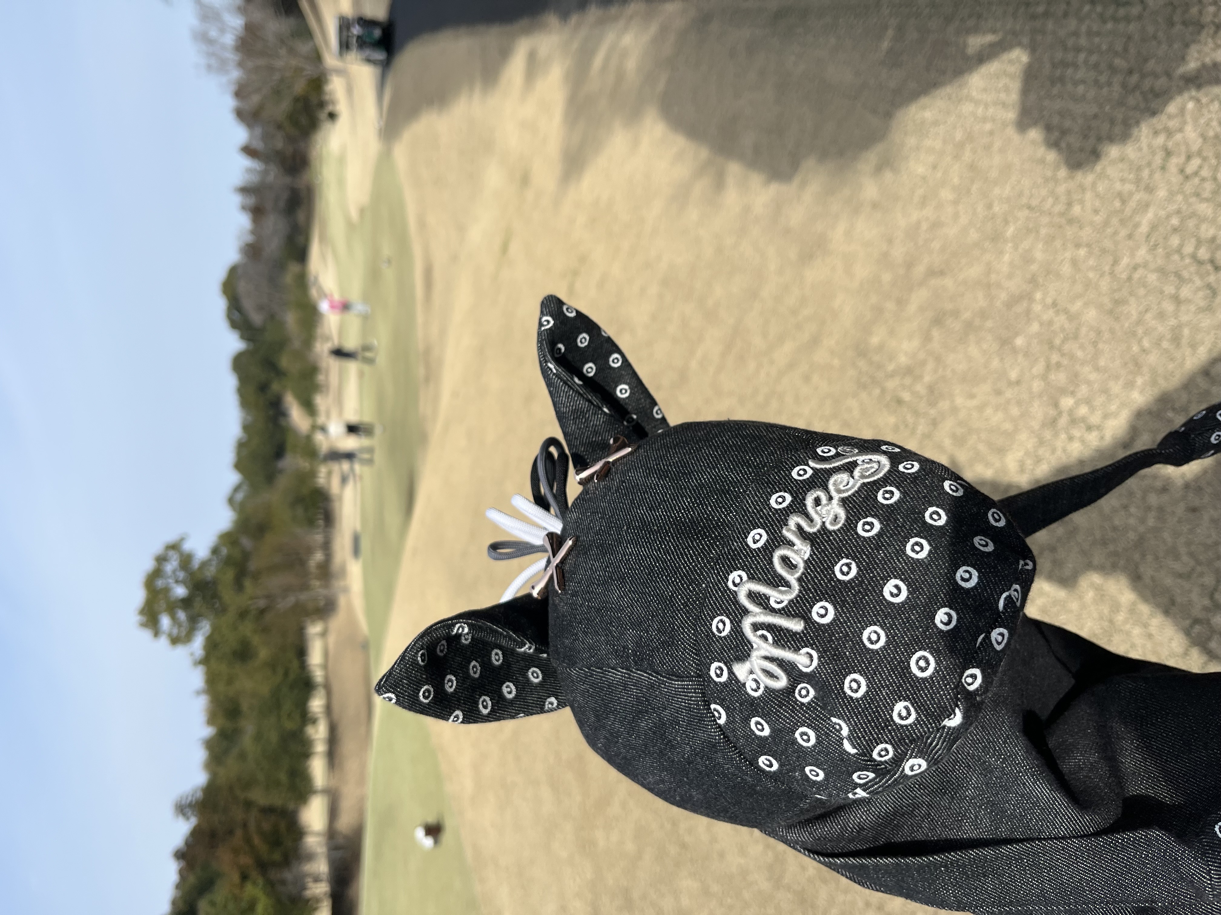 スタッフエピソードの写真
