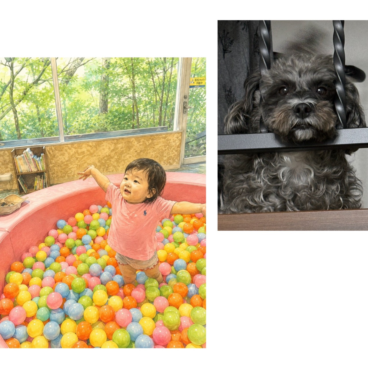 スタッフエピソードの写真